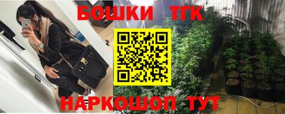 стаф Добрянка