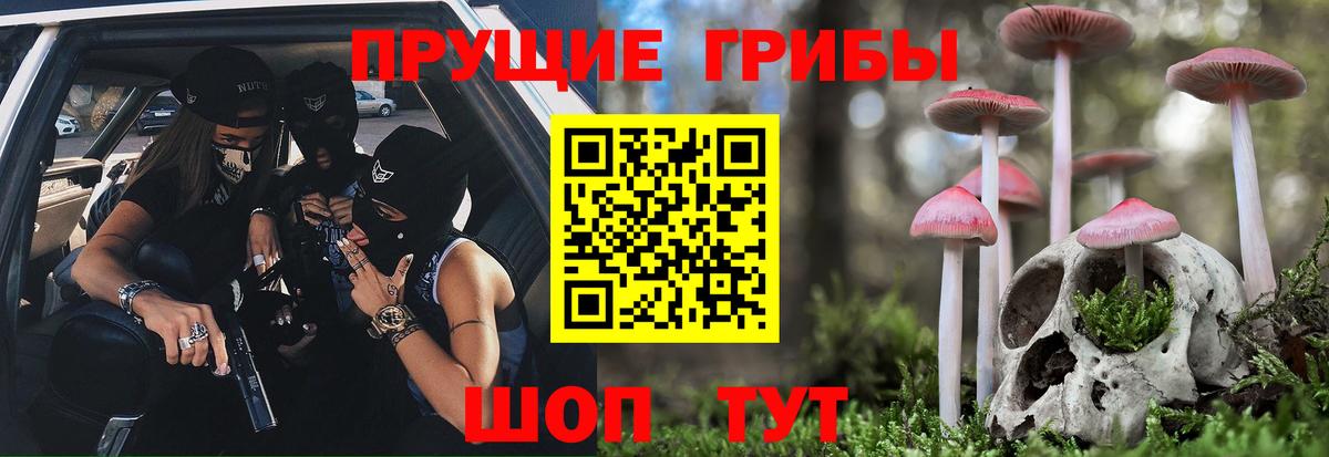Псилоцибиновые грибы прущие грибы Зеленокумск
